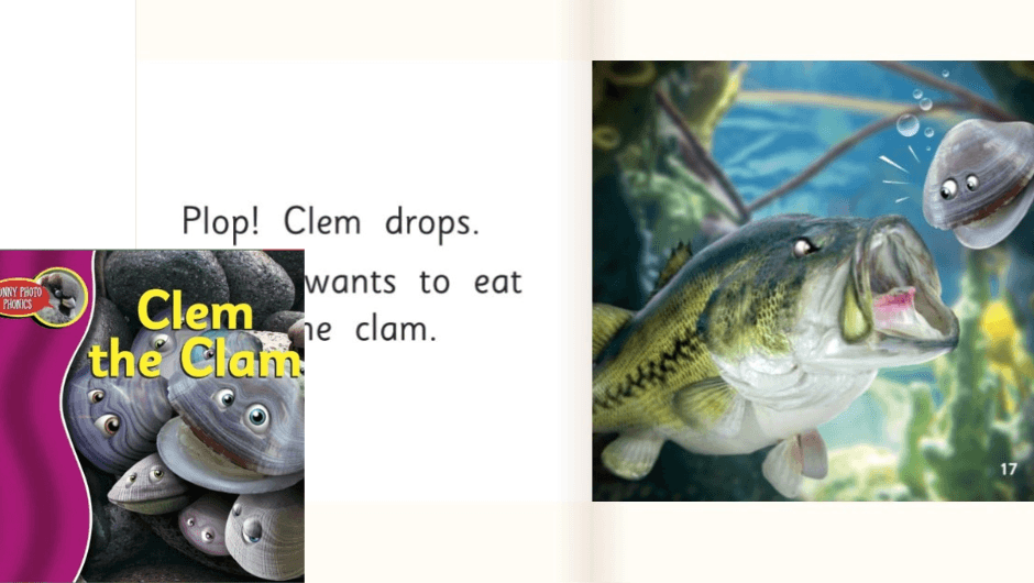 Books-for-5-year-old-phonics-reader