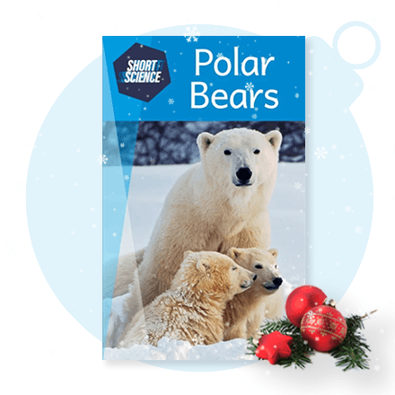 'Polar Bears' Book in the Reading Eggs Library